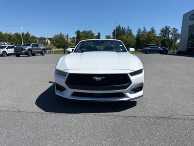 2025 Ford Mustang EcoBoost Premium
