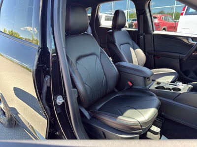 2025 Ford Escape ST-Line Elite